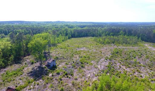 Photo of UNDER CONTRACT!  340 Acres of Hunting and Timber Land For Sale in Richmond County NC!