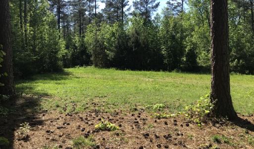 Photo of UNDER CONTRACT!  340 Acres of Hunting and Timber Land For Sale in Richmond County NC!