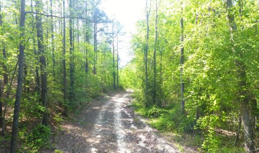 Photo of UNDER CONTRACT!  340 Acres of Hunting and Timber Land For Sale in Richmond County NC!
