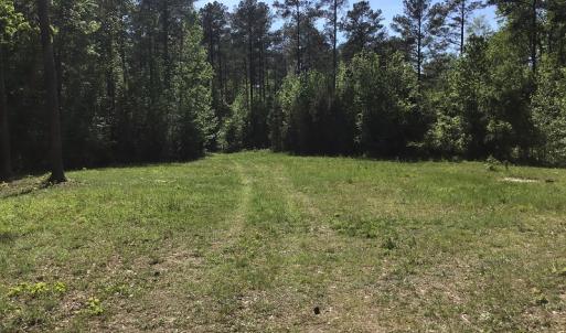Photo of UNDER CONTRACT!  340 Acres of Hunting and Timber Land For Sale in Richmond County NC!