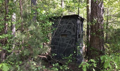 Photo of UNDER CONTRACT!  340 Acres of Hunting and Timber Land For Sale in Richmond County NC!