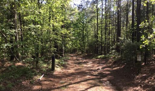 Photo of UNDER CONTRACT!  340 Acres of Hunting and Timber Land For Sale in Richmond County NC!