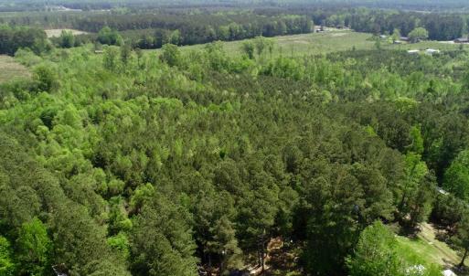 Photo of UNDER CONTRACT!  14 acres of Hunting and Timber Land for Sale in Gates County NC!