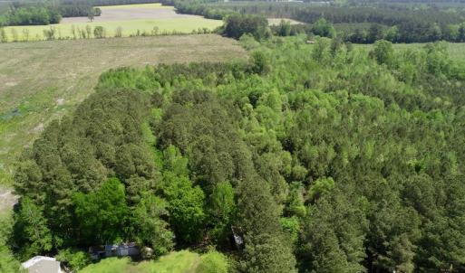 Photo of UNDER CONTRACT!  14 acres of Hunting and Timber Land for Sale in Gates County NC!