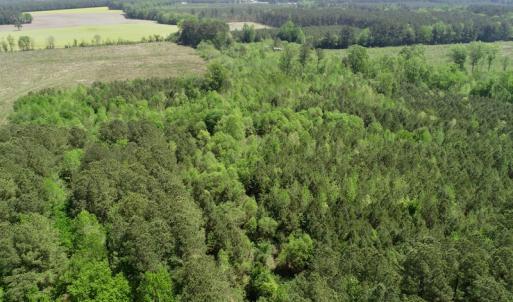 Photo of UNDER CONTRACT!  14 acres of Hunting and Timber Land for Sale in Gates County NC!