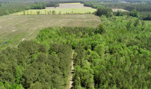 Photo of UNDER CONTRACT!  14 acres of Hunting and Timber Land for Sale in Gates County NC!
