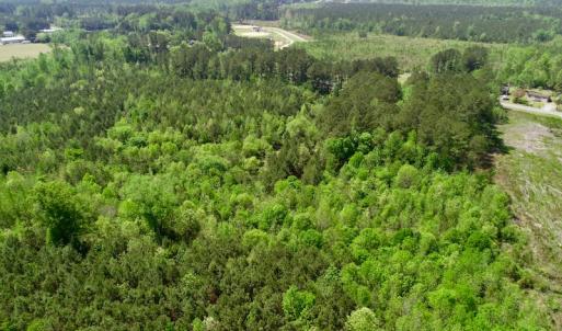 Photo of UNDER CONTRACT!  14 acres of Hunting and Timber Land for Sale in Gates County NC!