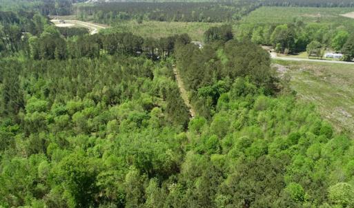 Photo of UNDER CONTRACT!  14 acres of Hunting and Timber Land for Sale in Gates County NC!