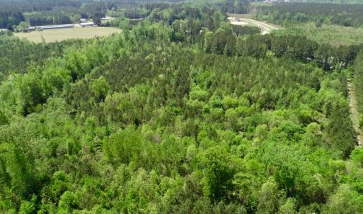 Photo of UNDER CONTRACT!  14 acres of Hunting and Timber Land for Sale in Gates County NC!