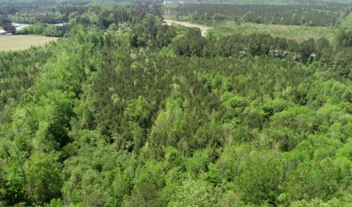 Photo of UNDER CONTRACT!  14 acres of Hunting and Timber Land for Sale in Gates County NC!