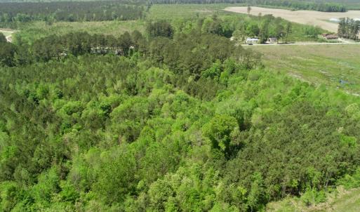 Photo of UNDER CONTRACT!  14 acres of Hunting and Timber Land for Sale in Gates County NC!