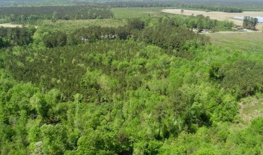 Photo of UNDER CONTRACT!  14 acres of Hunting and Timber Land for Sale in Gates County NC!