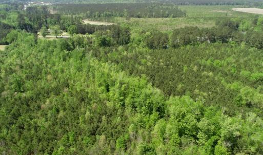 Photo of UNDER CONTRACT!  14 acres of Hunting and Timber Land for Sale in Gates County NC!