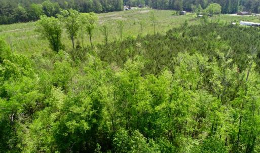 Photo of UNDER CONTRACT!  14 acres of Hunting and Timber Land for Sale in Gates County NC!