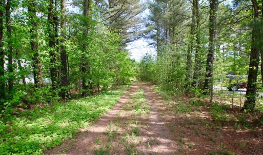 Photo of UNDER CONTRACT!  14 acres of Hunting and Timber Land for Sale in Gates County NC!