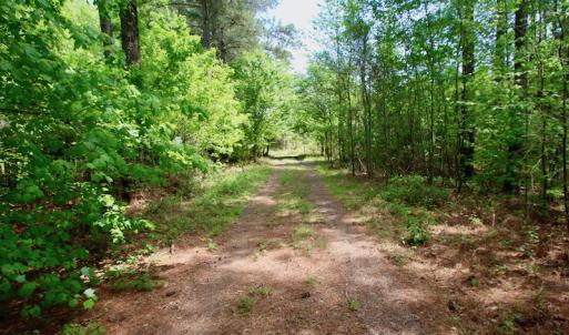 Photo of UNDER CONTRACT!  14 acres of Hunting and Timber Land for Sale in Gates County NC!