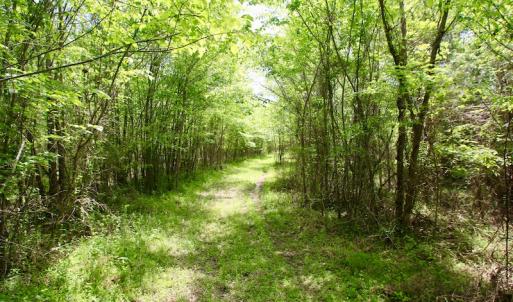 Photo of UNDER CONTRACT!  14 acres of Hunting and Timber Land for Sale in Gates County NC!