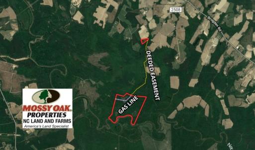 Photo of UNDER CONTRACT!  185 Acres of Hunting Land for Sale in Johnston County NC!