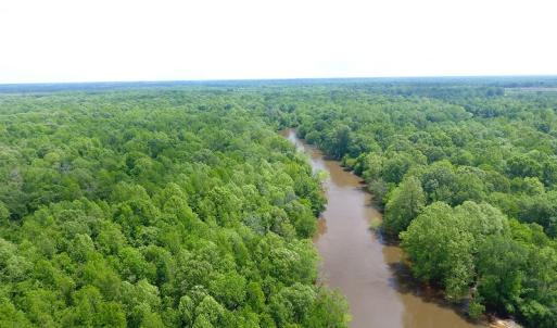 Photo of UNDER CONTRACT!  185 Acres of Hunting Land for Sale in Johnston County NC!