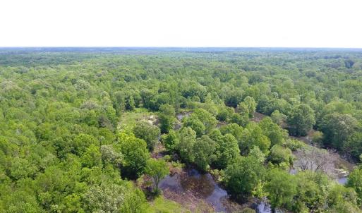 Photo of UNDER CONTRACT!  185 Acres of Hunting Land for Sale in Johnston County NC!