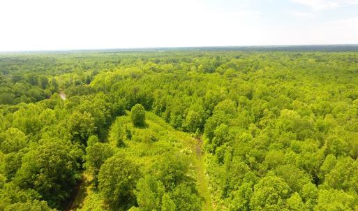 Photo of UNDER CONTRACT!  185 Acres of Hunting Land for Sale in Johnston County NC!
