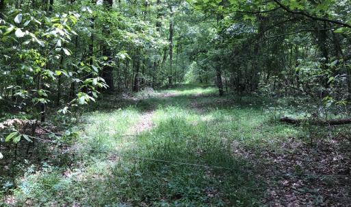 Photo of UNDER CONTRACT!  185 Acres of Hunting Land for Sale in Johnston County NC!