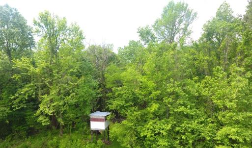 Photo of UNDER CONTRACT!  185 Acres of Hunting Land for Sale in Johnston County NC!