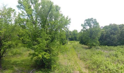 Photo of UNDER CONTRACT!  185 Acres of Hunting Land for Sale in Johnston County NC!