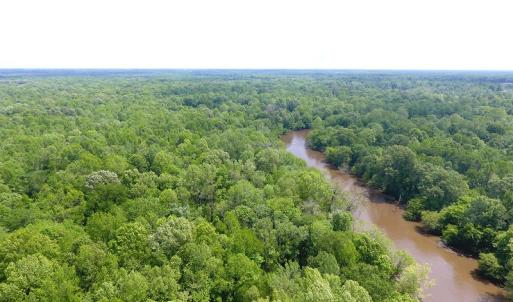 Photo of UNDER CONTRACT!  185 Acres of Hunting Land for Sale in Johnston County NC!