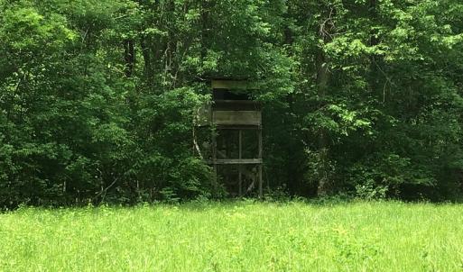 Photo of UNDER CONTRACT!  185 Acres of Hunting Land for Sale in Johnston County NC!