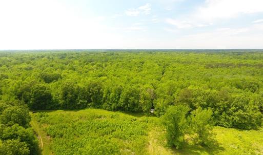 Photo of UNDER CONTRACT!  185 Acres of Hunting Land for Sale in Johnston County NC!