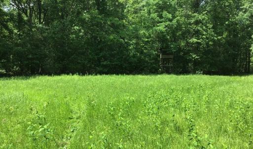 Photo of UNDER CONTRACT!  185 Acres of Hunting Land for Sale in Johnston County NC!