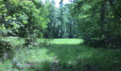 Photo of UNDER CONTRACT!  185 Acres of Hunting Land for Sale in Johnston County NC!