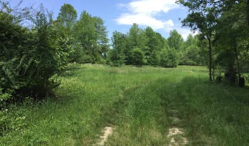 Photo of UNDER CONTRACT!  185 Acres of Hunting Land for Sale in Johnston County NC!