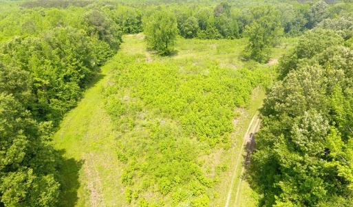 Photo of UNDER CONTRACT!  185 Acres of Hunting Land for Sale in Johnston County NC!