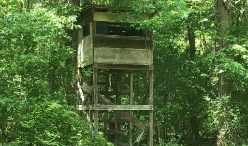 Photo of UNDER CONTRACT!  185 Acres of Hunting Land for Sale in Johnston County NC!