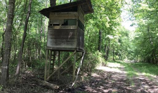 Photo of UNDER CONTRACT!  185 Acres of Hunting Land for Sale in Johnston County NC!
