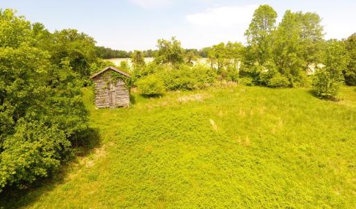 Photo of UNDER CONTRACT!  185 Acres of Hunting Land for Sale in Johnston County NC!