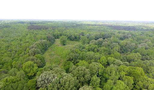 Photo of UNDER CONTRACT!  185 Acres of Hunting Land for Sale in Johnston County NC!
