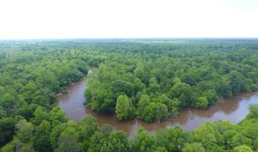 Photo of UNDER CONTRACT!  185 Acres of Hunting Land for Sale in Johnston County NC!