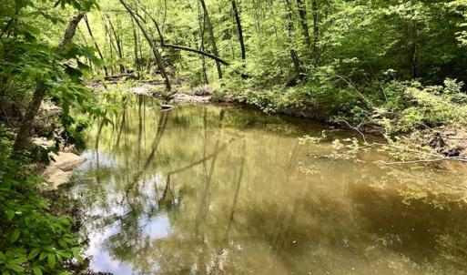 Photo of SOLD!  25 Acres of Hunting and Residential Land For Sale in Lunenburg County VA!