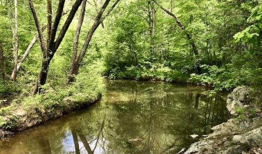 Photo of SOLD!  25 Acres of Hunting and Residential Land For Sale in Lunenburg County VA!