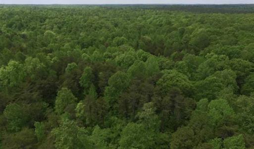 Photo of SOLD!  25 Acres of Hunting and Residential Land For Sale in Lunenburg County VA!