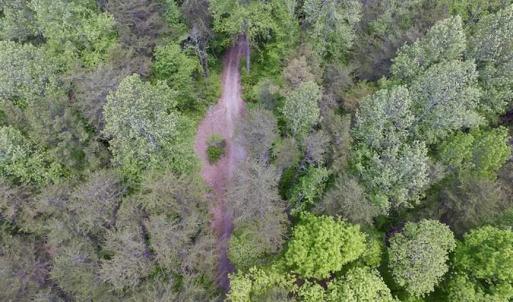 Photo of SOLD!  25 Acres of Hunting and Residential Land For Sale in Lunenburg County VA!