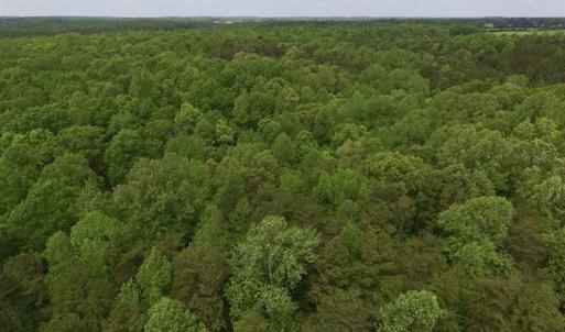 Photo of SOLD!  25 Acres of Hunting and Residential Land For Sale in Lunenburg County VA!