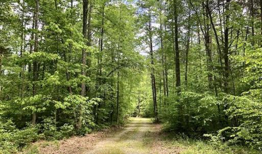 Photo of SOLD!  25 Acres of Hunting and Residential Land For Sale in Lunenburg County VA!