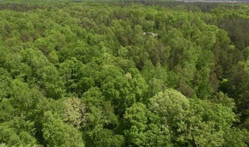 Photo of SOLD!  25 Acres of Hunting and Residential Land For Sale in Lunenburg County VA!