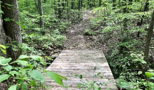 Photo of SOLD!  25 Acres of Hunting and Residential Land For Sale in Lunenburg County VA!