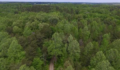 Photo of SOLD!  25 Acres of Hunting and Residential Land For Sale in Lunenburg County VA!