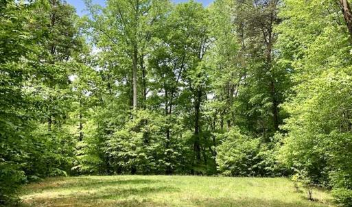 Photo of SOLD!  25 Acres of Hunting and Residential Land For Sale in Lunenburg County VA!
